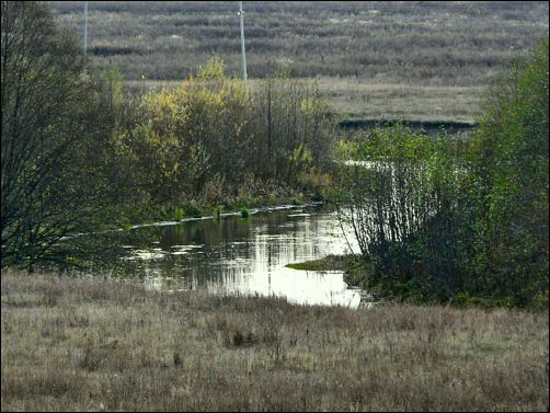 Вблизи с. Панциревка